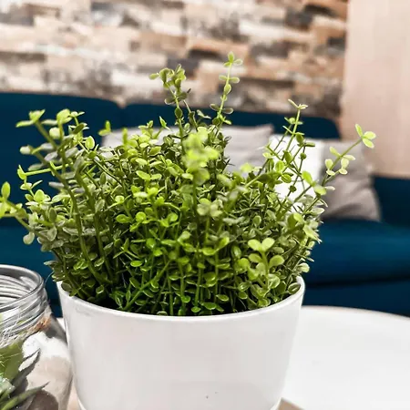 2bdr Heart Of Ac Fully Equipped * Sofia